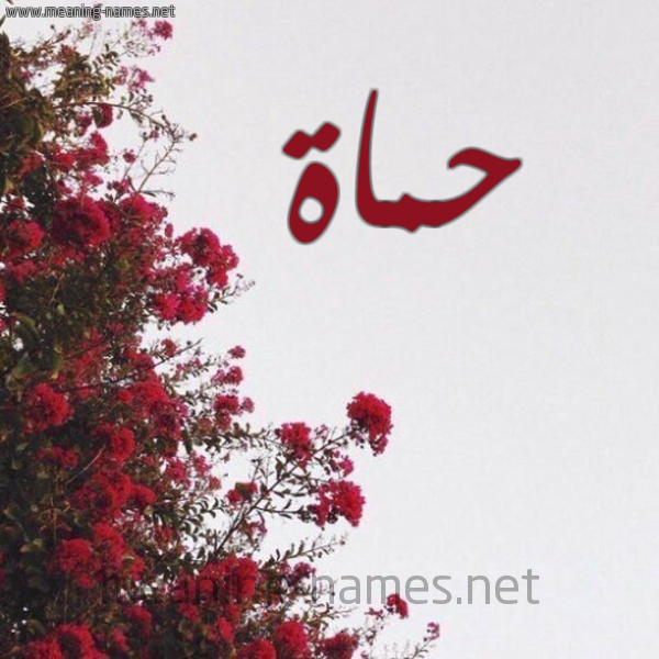 شكل 18 صوره الورد الأحمر للإسم بخط رقعة صورة اسم حماة HMAH