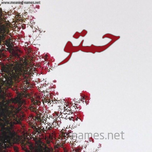 شكل 18 صوره الورد الأحمر للإسم بخط رقعة صورة اسم حمتو HMATOU