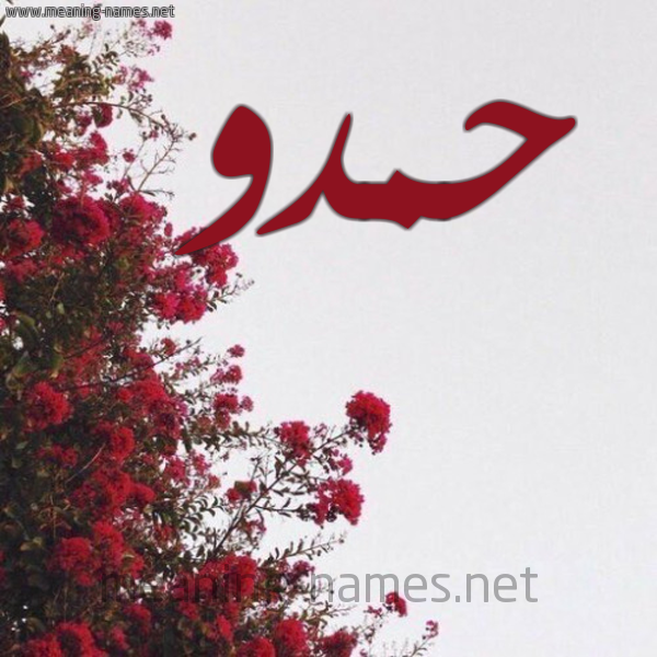 شكل 18 صوره الورد الأحمر للإسم بخط رقعة صورة اسم حمدو Hmdo