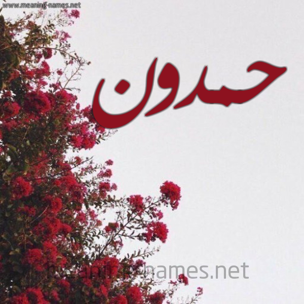 شكل 18 صوره الورد الأحمر للإسم بخط رقعة صورة اسم حمدون HMDON