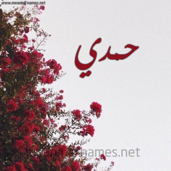 شكل 18 صوره الورد الأحمر للإسم بخط رقعة صورة اسم حمدي Hamdy