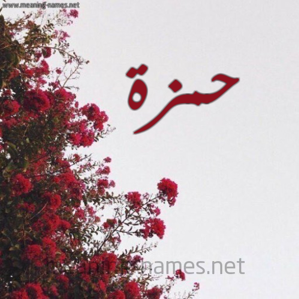 شكل 18 صوره الورد الأحمر للإسم بخط رقعة صورة اسم حمزة Hamza