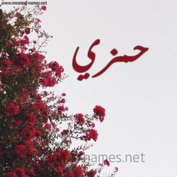 شكل 18 صوره الورد الأحمر للإسم بخط رقعة صورة اسم حمزي HMZI