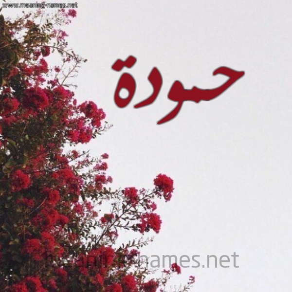 شكل 18 صوره الورد الأحمر للإسم بخط رقعة صورة اسم حمودة Hamouda