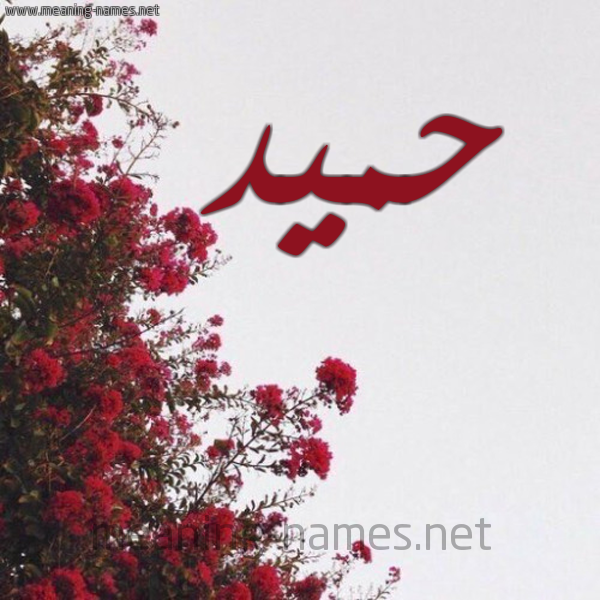 شكل 18 صوره الورد الأحمر للإسم بخط رقعة صورة اسم حميد Hmid