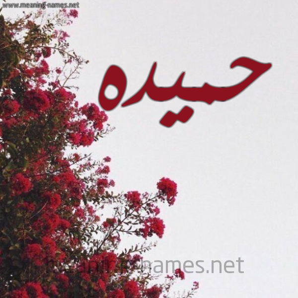 شكل 18 صوره الورد الأحمر للإسم بخط رقعة صورة اسم حميده Hameda
