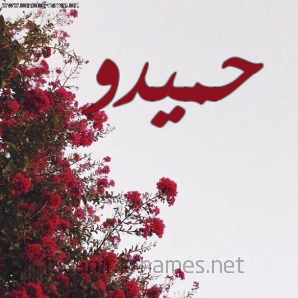شكل 18 صوره الورد الأحمر للإسم بخط رقعة صورة اسم حميدو Hamido