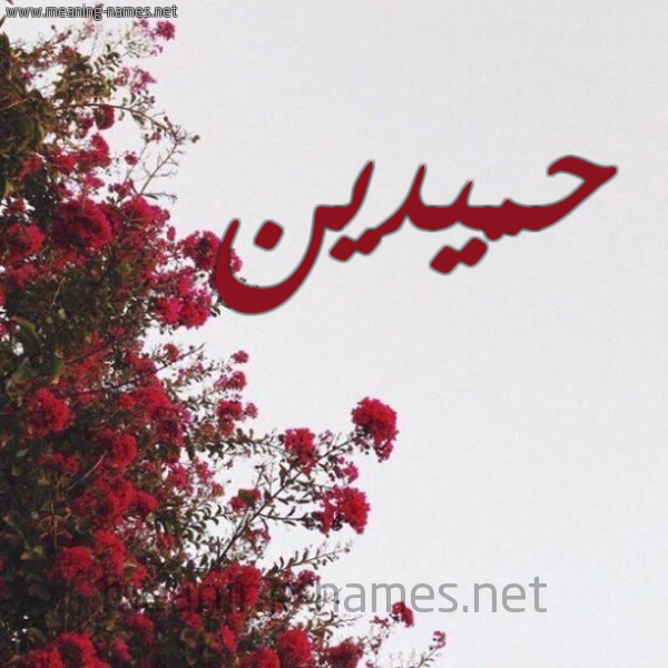 شكل 18 صوره الورد الأحمر للإسم بخط رقعة صورة اسم حمّيدين HMIDIN