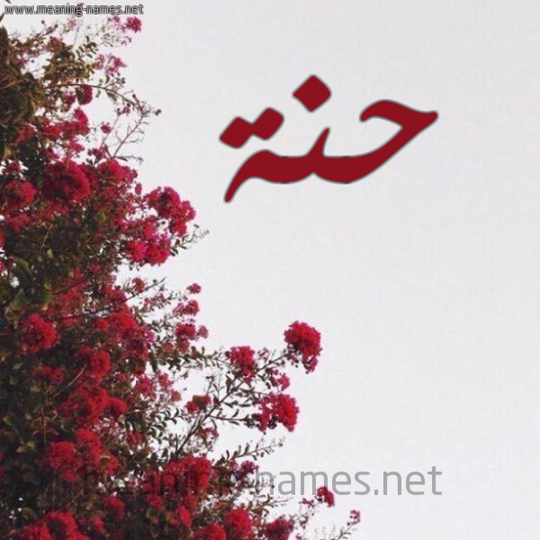 شكل 18 صوره الورد الأحمر للإسم بخط رقعة صورة اسم حنة hanaa
