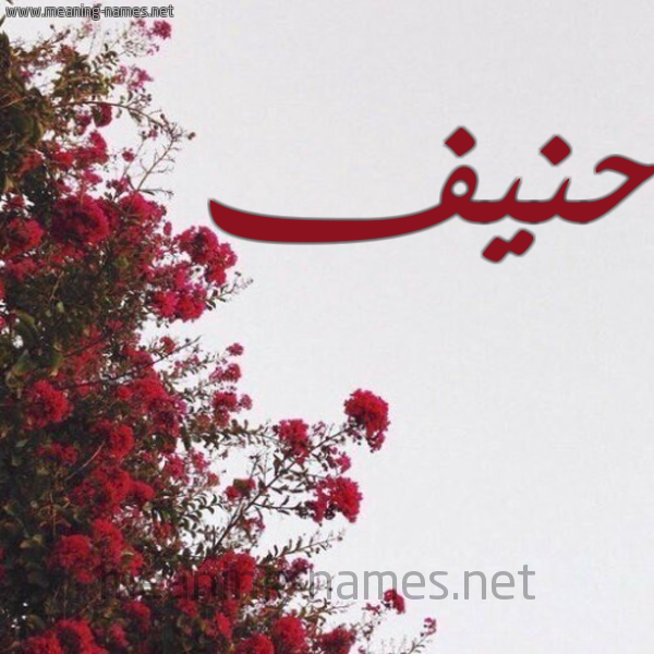 شكل 18 صوره الورد الأحمر للإسم بخط رقعة صورة اسم حنيف HNIF