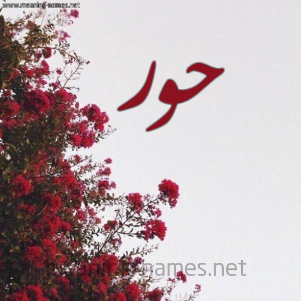 شكل 18 صوره الورد الأحمر للإسم بخط رقعة صورة اسم حور Hoor