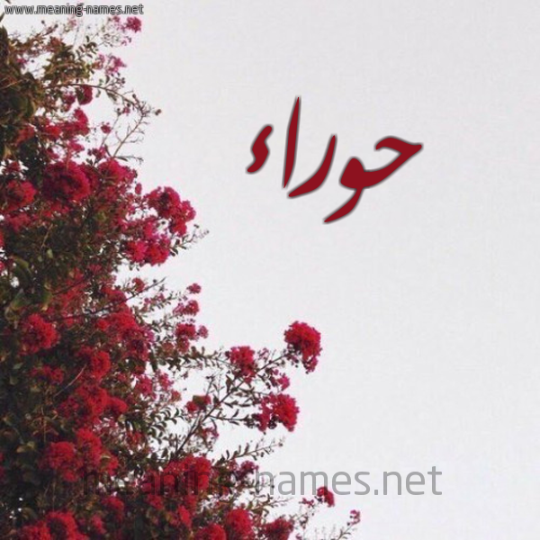 شكل 18 صوره الورد الأحمر للإسم بخط رقعة صورة اسم حوراء Horaa