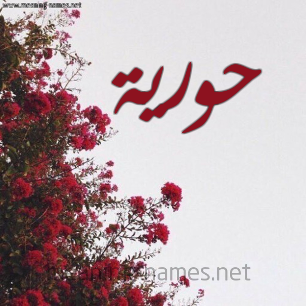 شكل 18 صوره الورد الأحمر للإسم بخط رقعة صورة اسم حورية Horia