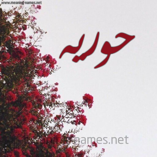 شكل 18 صوره الورد الأحمر للإسم بخط رقعة صورة اسم حوريه HORIH