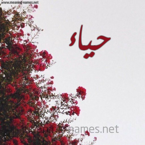 شكل 18 صوره الورد الأحمر للإسم بخط رقعة صورة اسم حياء HIAA
