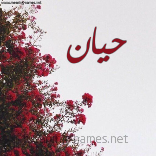 شكل 18 صوره الورد الأحمر للإسم بخط رقعة صورة اسم حيان Hian