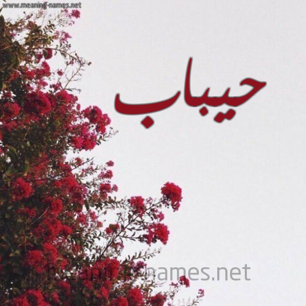 شكل 18 صوره الورد الأحمر للإسم بخط رقعة صورة اسم حيباب Habbab