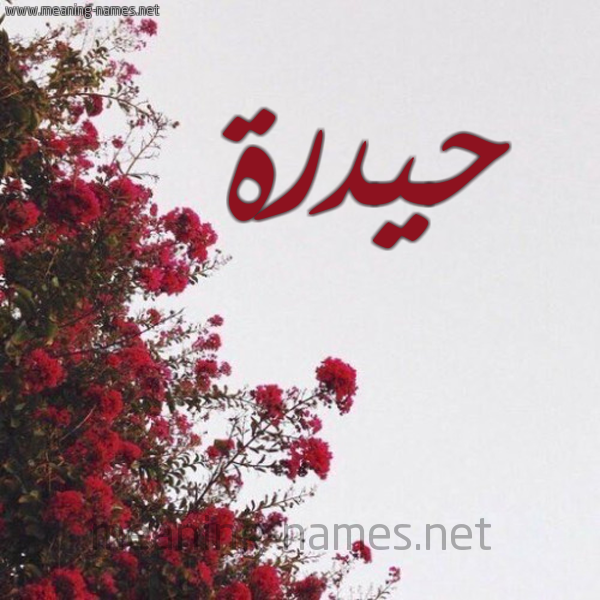 شكل 18 صوره الورد الأحمر للإسم بخط رقعة صورة اسم حيدرة Hidar