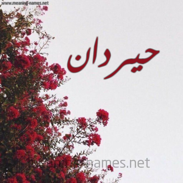 شكل 18 صوره الورد الأحمر للإسم بخط رقعة صورة اسم حيردان Hardan