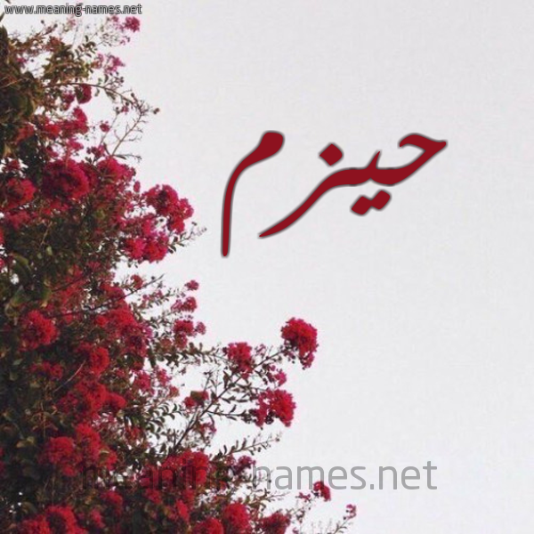 شكل 18 صوره الورد الأحمر للإسم بخط رقعة صورة اسم حيزم Hazm