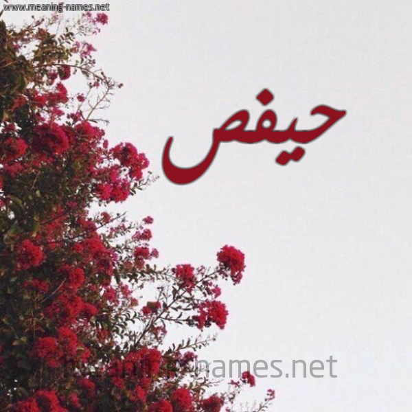 شكل 18 صوره الورد الأحمر للإسم بخط رقعة صورة اسم حيفص Hafs