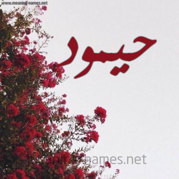 شكل 18 صوره الورد الأحمر للإسم بخط رقعة صورة اسم حيمود Hamoud