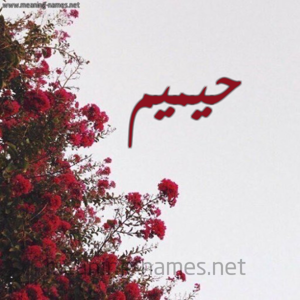 شكل 18 صوره الورد الأحمر للإسم بخط رقعة صورة اسم حيميم Hameem