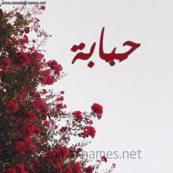شكل 18 صوره الورد الأحمر للإسم بخط رقعة صورة اسم حَبّابة HABABH