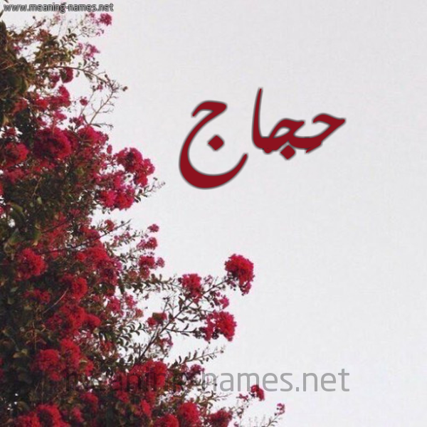شكل 18 صوره الورد الأحمر للإسم بخط رقعة صورة اسم حَجّاج Hagag