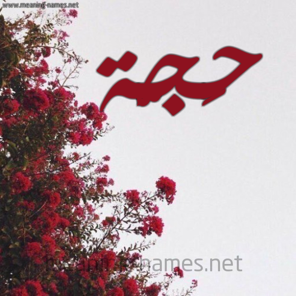 شكل 18 صوره الورد الأحمر للإسم بخط رقعة صورة اسم حَجَّة HAGAH