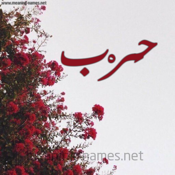 شكل 18 صوره الورد الأحمر للإسم بخط رقعة صورة اسم حَرْب Harb