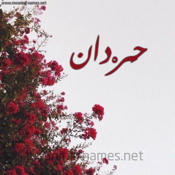 شكل 18 صوره الورد الأحمر للإسم بخط رقعة صورة اسم حَرْدان HARDAN