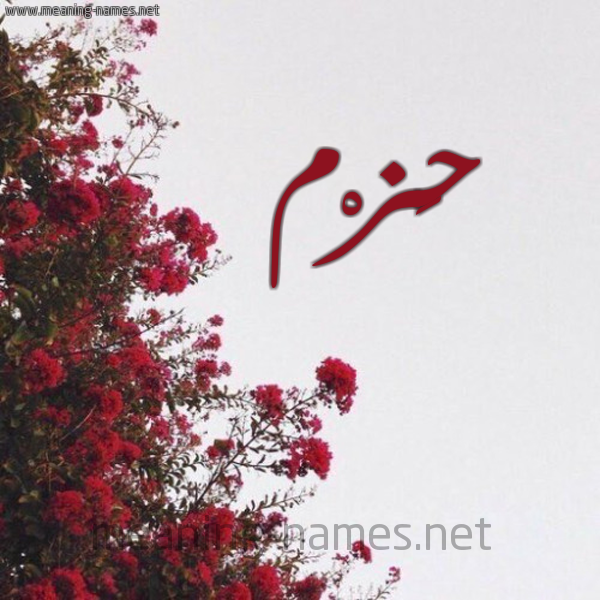 شكل 18 صوره الورد الأحمر للإسم بخط رقعة صورة اسم حَزْم Hazm