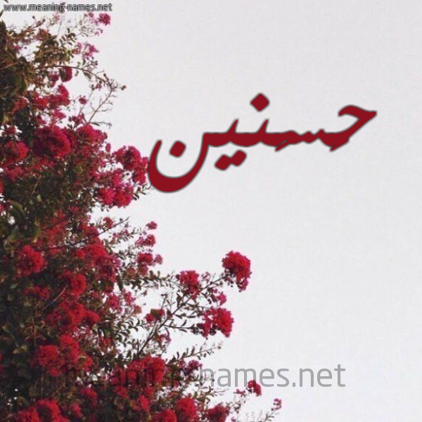 شكل 18 صوره الورد الأحمر للإسم بخط رقعة صورة اسم حَسَنين HASANIN