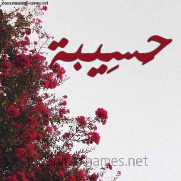 شكل 18 صوره الورد الأحمر للإسم بخط رقعة صورة اسم حَسِيبة HASEIBa