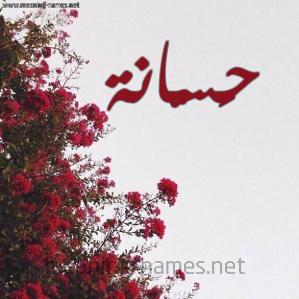 شكل 18 صوره الورد الأحمر للإسم بخط رقعة صورة اسم حَسّانة HASANH