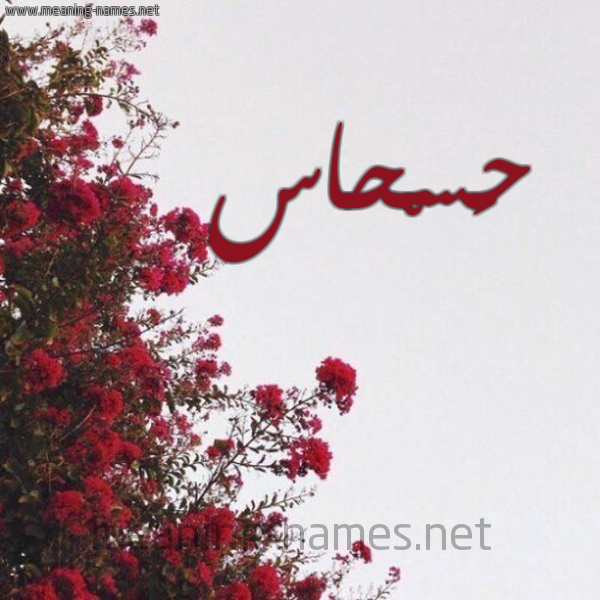 شكل 18 صوره الورد الأحمر للإسم بخط رقعة صورة اسم حَسْحاس HASHAS