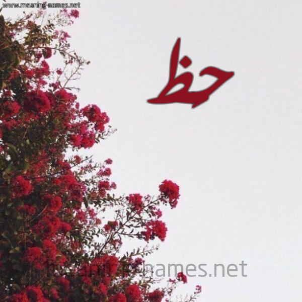 شكل 18 صوره الورد الأحمر للإسم بخط رقعة صورة اسم حَظ HAZ