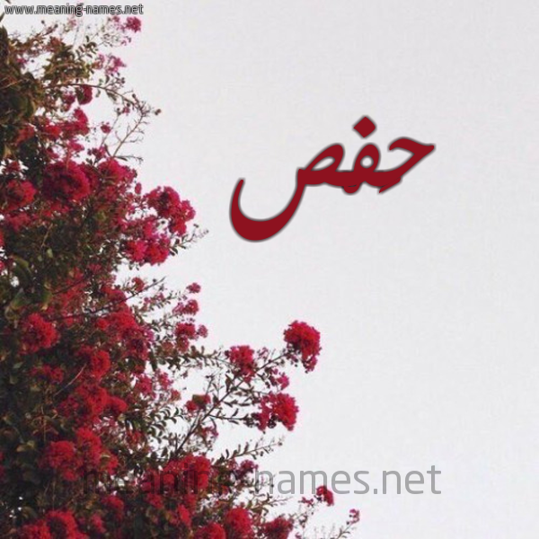 شكل 18 صوره الورد الأحمر للإسم بخط رقعة صورة اسم حَفْص HAFS