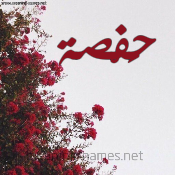 شكل 18 صوره الورد الأحمر للإسم بخط رقعة صورة اسم حَفْصة Hafsa