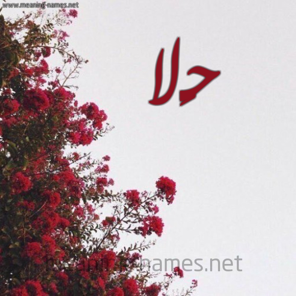 شكل 18 صوره الورد الأحمر للإسم بخط رقعة صورة اسم حَلا Hla
