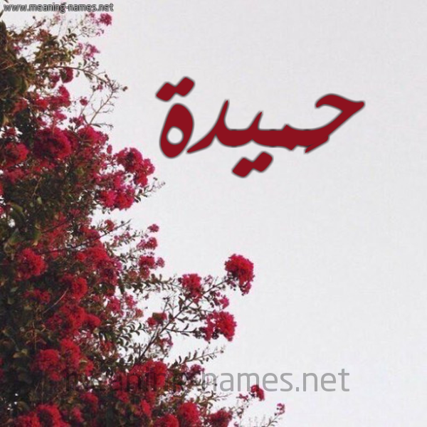 شكل 18 صوره الورد الأحمر للإسم بخط رقعة صورة اسم حَميدة Hamida
