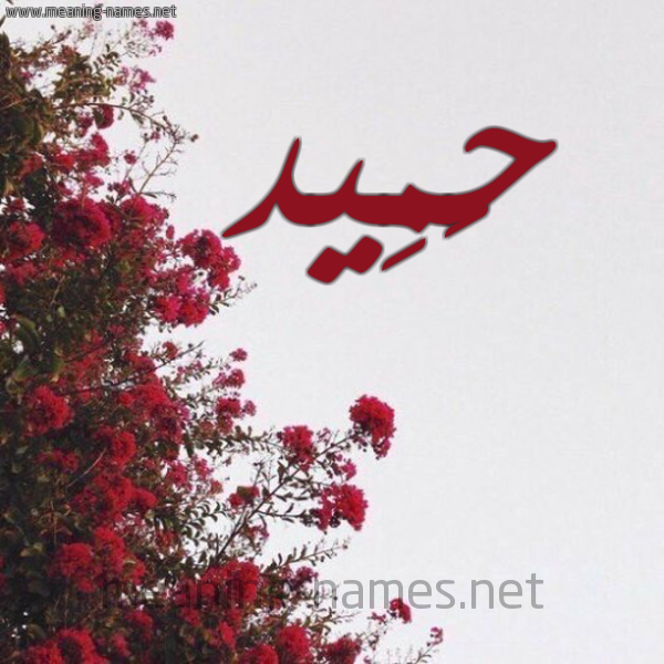 شكل 18 صوره الورد الأحمر للإسم بخط رقعة صورة اسم حَمِيد HAMEID