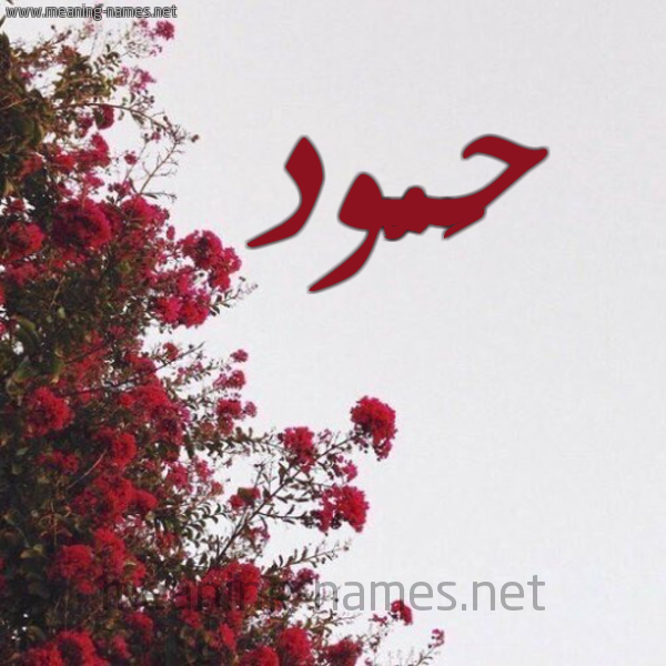 شكل 18 صوره الورد الأحمر للإسم بخط رقعة صورة اسم حَمُّود HAMOOD