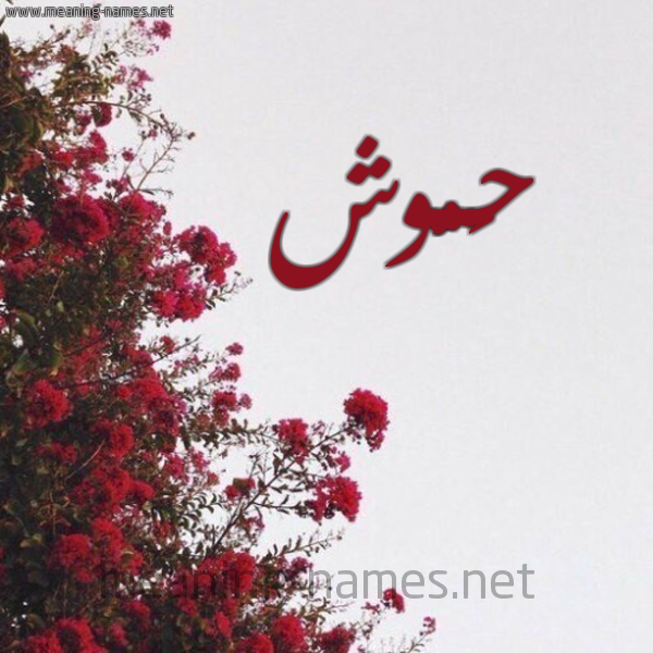شكل 18 صوره الورد الأحمر للإسم بخط رقعة صورة اسم حَمُّوش HAMOOSH