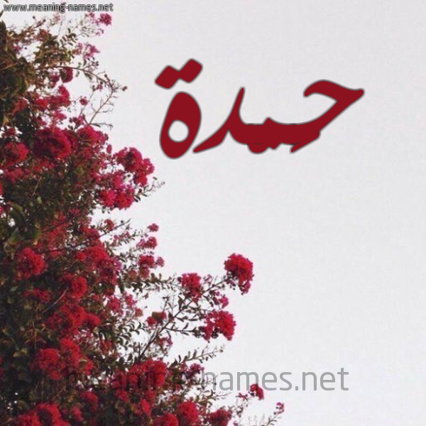 شكل 18 صوره الورد الأحمر للإسم بخط رقعة صورة اسم حَمْدة HAMDH