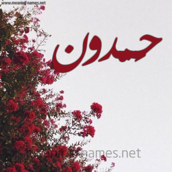 شكل 18 صوره الورد الأحمر للإسم بخط رقعة صورة اسم حَمْدون HAMDON