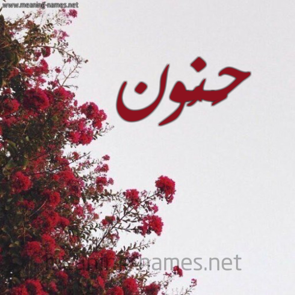 شكل 18 صوره الورد الأحمر للإسم بخط رقعة صورة اسم حَنُون HANOON