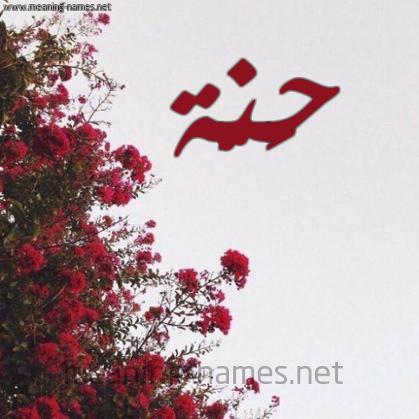 شكل 18 صوره الورد الأحمر للإسم بخط رقعة صورة اسم حَنَّة HANAH