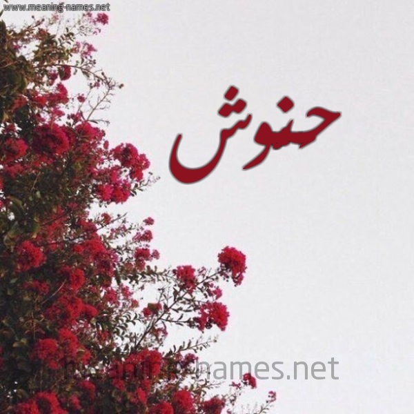 شكل 18 صوره الورد الأحمر للإسم بخط رقعة صورة اسم حَنُّوش HANOOSH